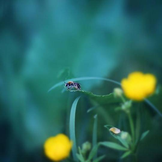 nature_photos_12.jpg