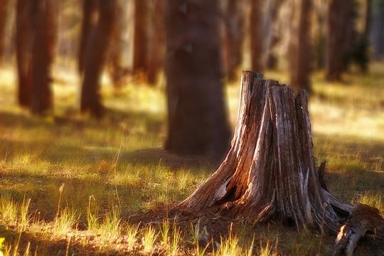 nature_photos_14.jpg