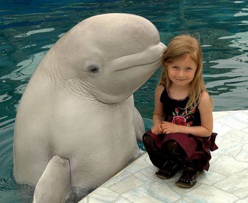 funny_animals_9.jpg