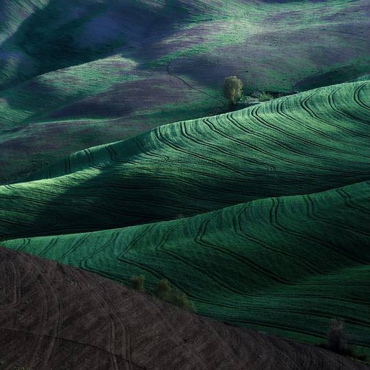 beautiful_nature_8.jpg