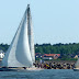 115.JPG