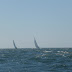 20100529_Pilies Regata_008.JPG