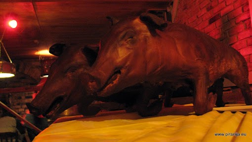 20101023_POR2010_195.JPG