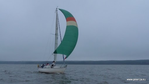 P1180299.JPG