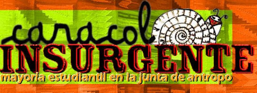 Caracol Insurgente - La Juntada en antropo - FFyL