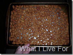 Almonds in a pan