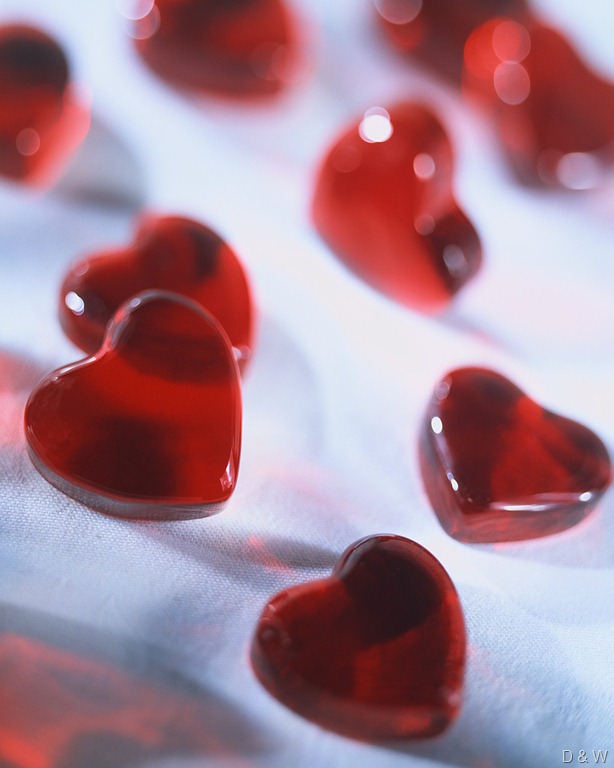 [heart[50].jpg]