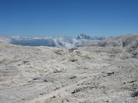 IMG_0011.JPG Photo