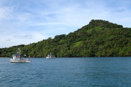 coiba