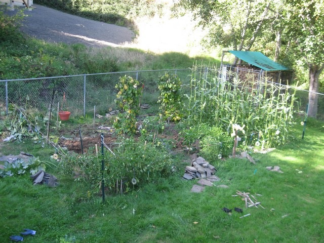 [garden round 2 08[3].jpg]