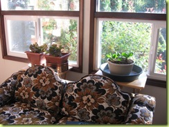 living room garden 01
