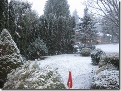 first snow  01