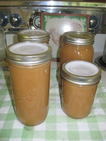[applesauce 13[3].jpg]