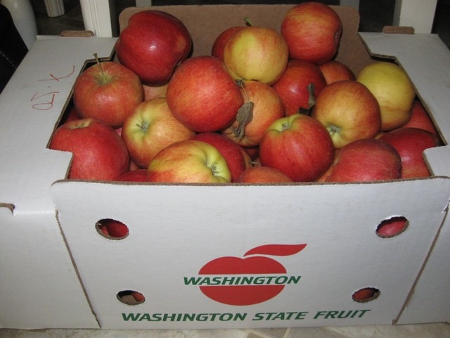 [applesauce 01[3].jpg]