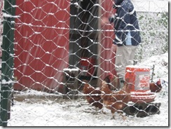 first snow chix 01 first snow chix 01
