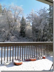 snow day 12 snow day 12