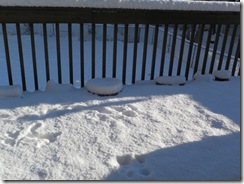 snow day 33 snow day 33