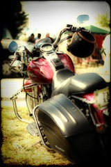 Harley003