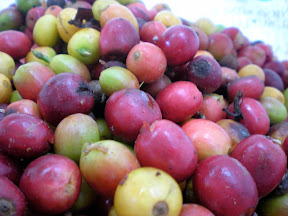 DSCN5112.JPG