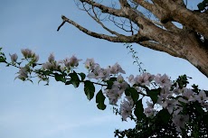 IMG_3264.JPG
