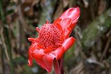 IMG_4067.jpg
