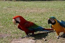 IMG_2634.JPG
