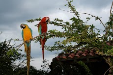 IMG_2797.JPG