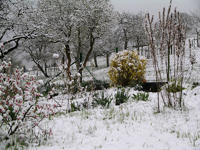 wintergarten