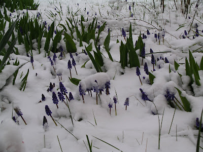 Winterwinter