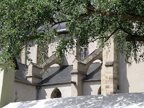 Münstermaifeld