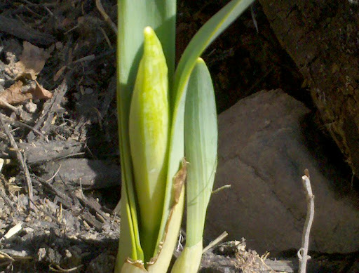 March 9, 2010