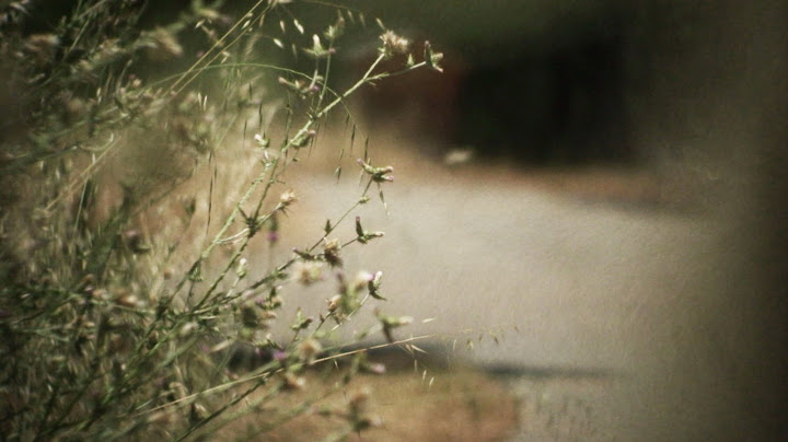 vlcsnap-118466.jpg
