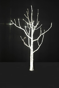 lighttree5 Sombra... y mucha luz