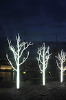 lighttree1ds Sombra... y mucha luz