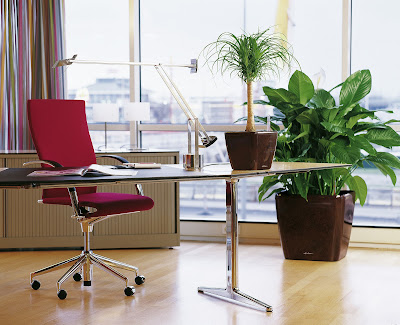 1 quadro 21 50 choco300 10 beneficios de tener una planta en casa