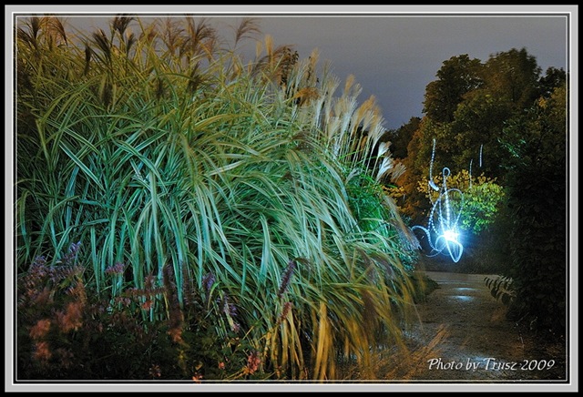 [photobytrusz_20091008_tbg_005[2].jpg]