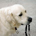 DSC_1165.jpg, Doni, Trip 2009