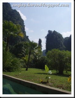 P1110445