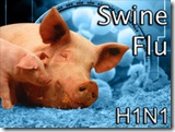 swine flu
