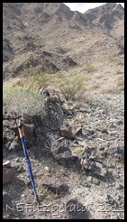IMG_5287 IMG_5287