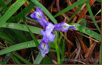 IMG_5656 IMG_5656