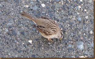 IMG_5659 IMG_5659