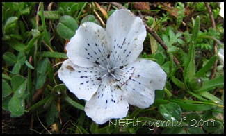 IMG_5708 IMG_5708