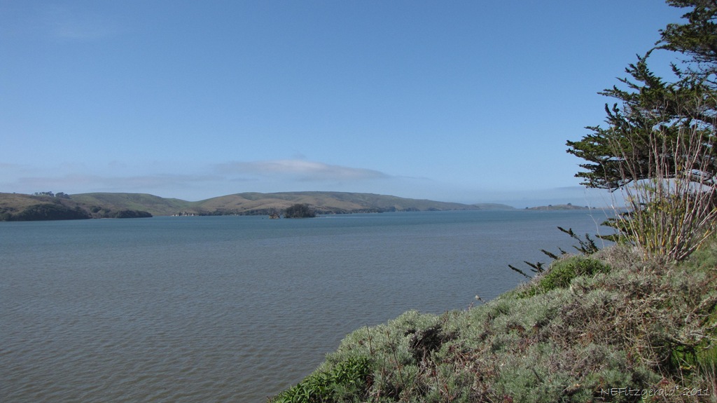 [IMG_5752ViewTo SalinianBlock_ PointReyes Peninsula_Across TomalesBay_SAF[10].jpg]