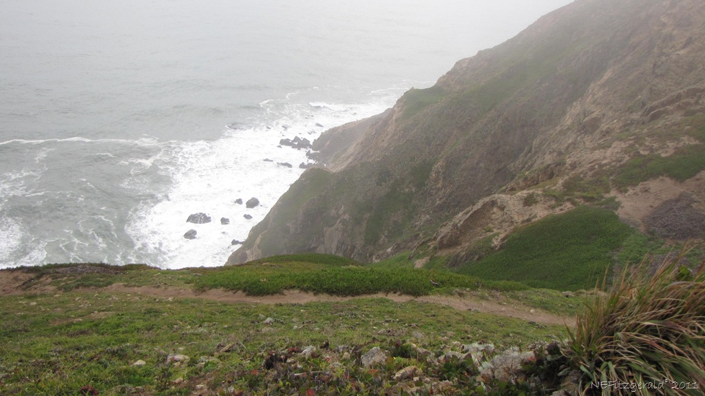 [IMG_5698Point Reyes[9].jpg]
