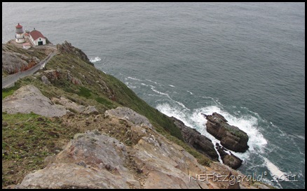 IMG_5908GullsOn RocksAtPointReyes Lighthouse