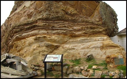 IMG_5855Point Reyes Conglomerate