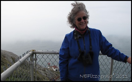 IMG_5872Windy HairDay
