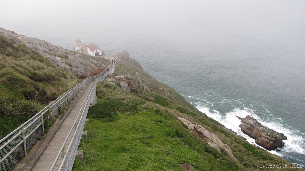[IMG_5869Point ReyesLighthouse[11].jpg]