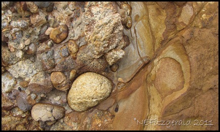 IMG_5901Point Reyes Conglomerate